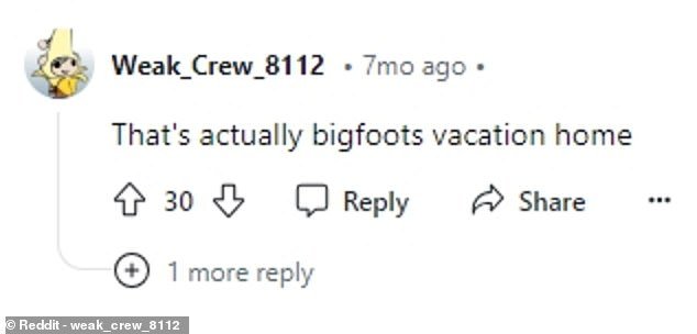 The discovery has sparked a number of theories across the internet, including Bigfoot's vacation home or a shuttle from Star Trek